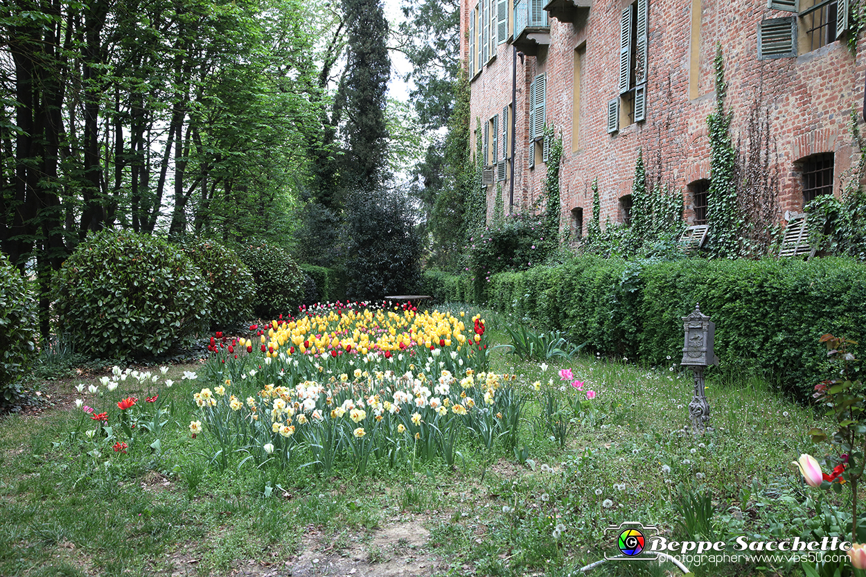 VBS_1115 - Castello di Piea d'Asti.jpg